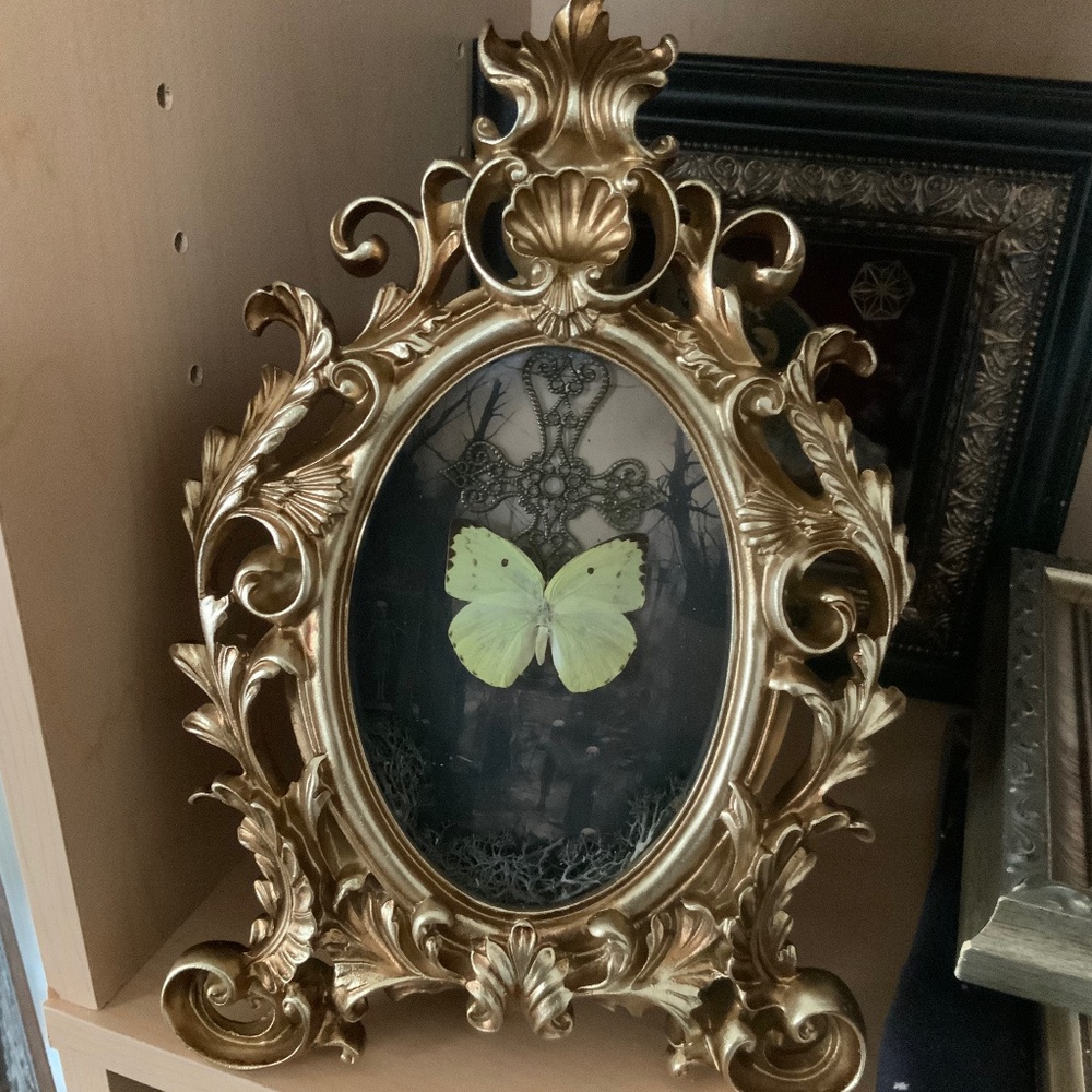 Real framed butterfly